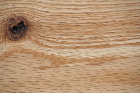 Detailed view of the rays in the grain of Red Oak.