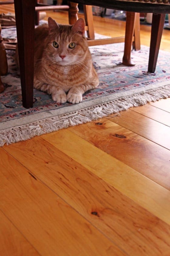 Hard Maple Flooring - Natural Grade