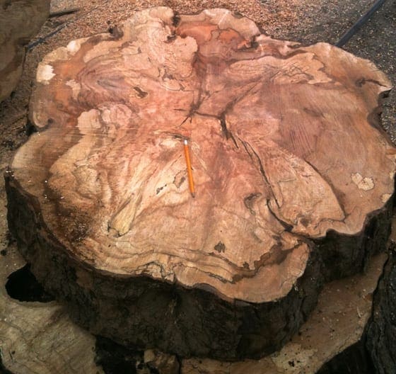 Spalted Maple Flooring - Ambrosia Maple