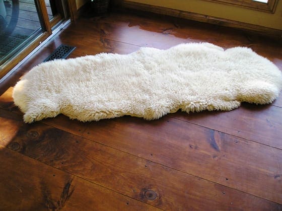 Pine Wide Plank Flooring - Premium Grade
