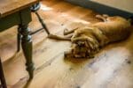 White Oak Floors - Live Sawn - Center Cut