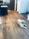 White Oak Floors - Live Sawn - Center Cut