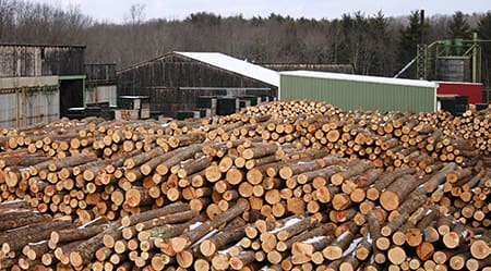 Hull Forest sawmill